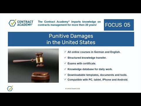 Punitive Compensation and Its Role in the American Legal System