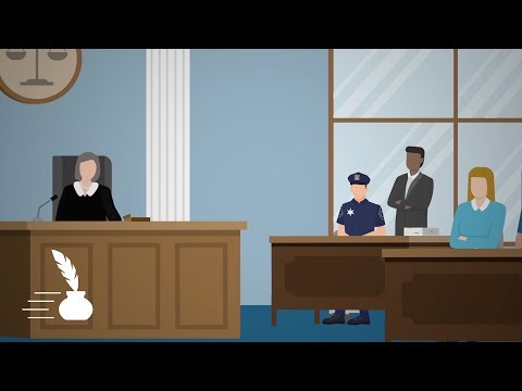 Qualified Immunity and Its Role in the American Legal System