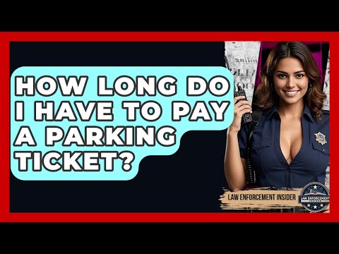 Navigating Pay Parking Tickets in the American Legal System