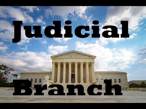 Twelfth District Court of Appeals and Its Role in U.S. Law