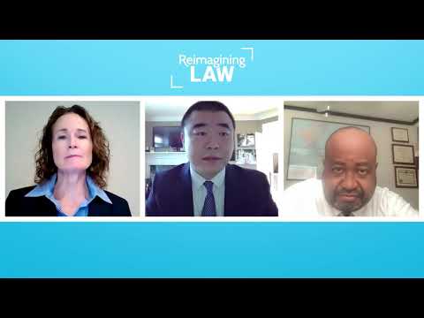 Pro Bono Lawyers Combating Discrimination in U.S. Courts