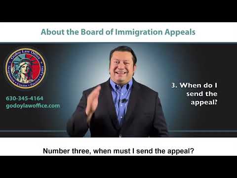 Navigating Appeals in U.S. Law: The First Department's Role