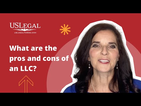 Liability Companies in the American Legal System Explained