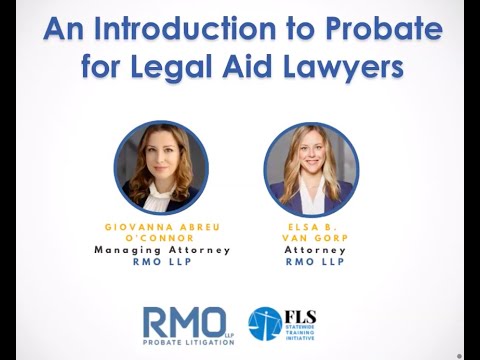 Navigating Probate Law Consultations in the American System