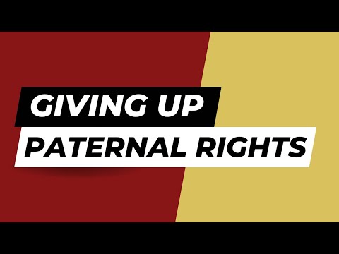 Relinquishing Parental Rights: Legal Considerations in the U.S.