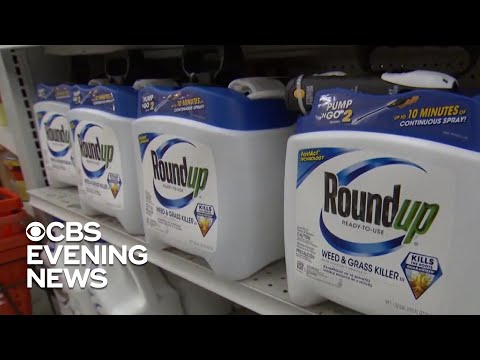 Roundup Class Action Suit: Jury's Role in American Justice
