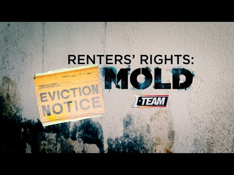 Can I Take My Landlord to Court Over Mold Issues?
