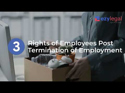 Employee Rights After Termination in the American Legal System