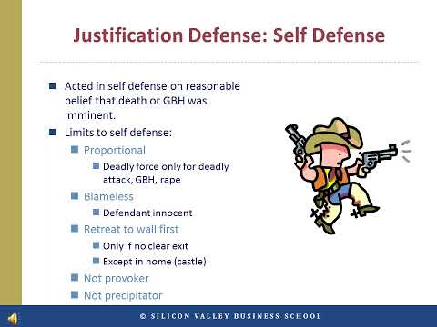 Real-Life Justification Defense Examples in U.S. Law