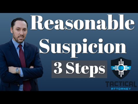 Defining Reasonable Suspicion in the American Legal System