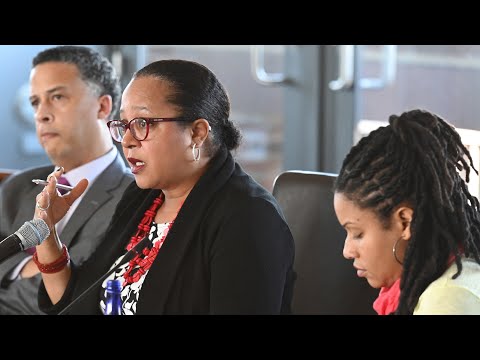 Racial Profiling and Its Influence on the American Legal System