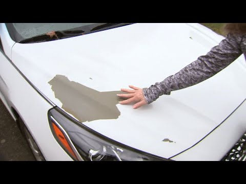 Honda Paint Defect Class Action and the Jury's Role in Justice