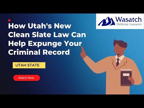 Expunging Misdemeanors in the U.S. Legal System Explained
