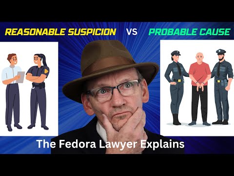 Reasonable Articulable Suspicion in American Law and Jury Trials