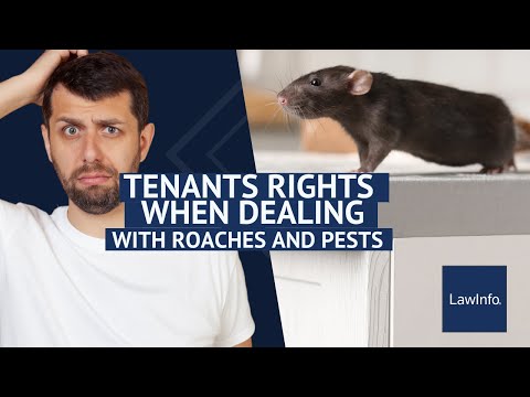 Tenant Rights in Condemned Properties Under U.S. Law