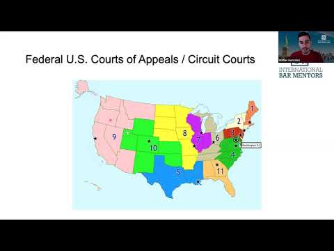 Civil vs Criminal Litigation in the American Jury System