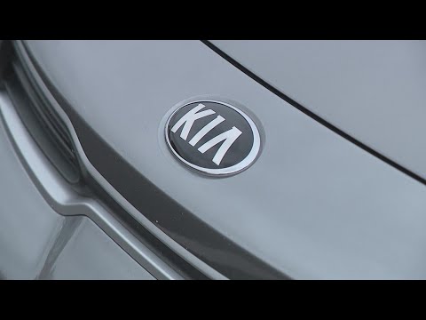 Kia Soul Class Action Suit Highlights U.S. Jury System Dynamics