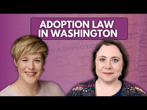 Navigating Legal Adoption in the American Justice System