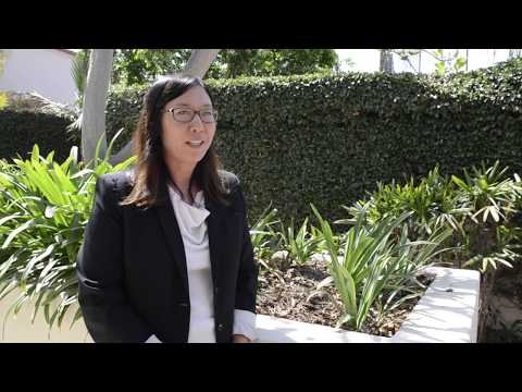 Navigating Employment Law with a Plaintiffs Lawyer in the U.S.