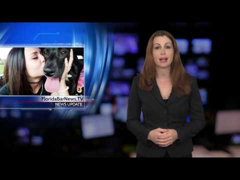Pro Bono Malpractice Lawyers and the American Jury System