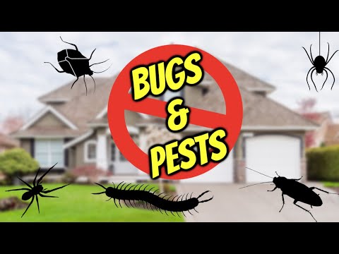 Bell Howell Ultrasonic Pest Repeller Class Action Explained