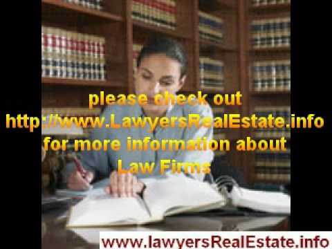 Pro Bono Real Estate Lawyers and the American Legal System