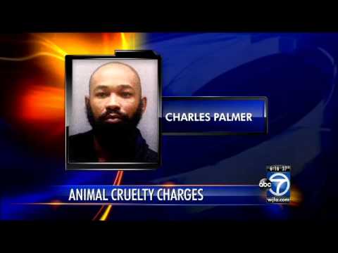 Consequences of Animal Cruelty Charges in U.S. Courts