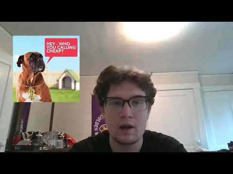 Puppy Lemon Laws and the American Legal System Explained