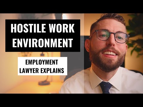 Navigating Hostile Work Environment Lawsuits in the U.S.