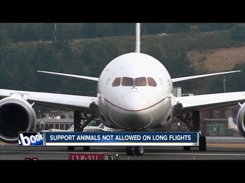 United Airlines Service Animals and the U.S. Legal Framework