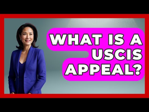 Navigating Administrative Appeals in the American Legal System