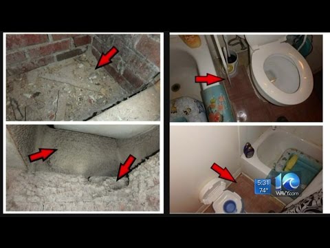 Suing an Apartment Complex for Mold Under U.S. Law