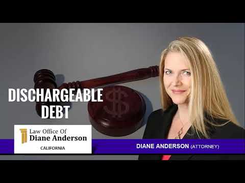 Nelnet Student Loan Discharge and the American Legal System