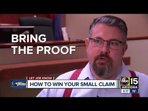 Suing Without a Lawyer in the U.S. Justice System