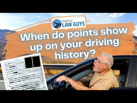 Duration of Speeding Points on U.S. Driver's Licenses