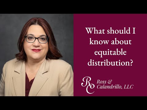 Equitable Distribution Attorneys and the American Legal System
