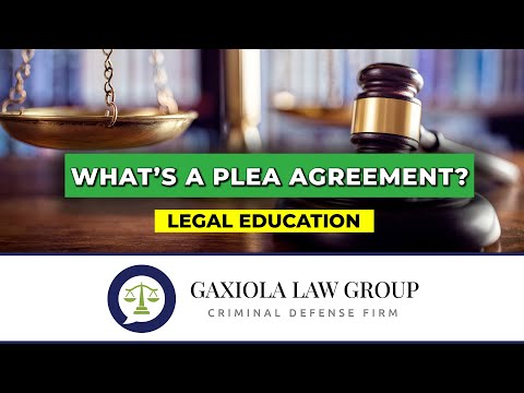 Defining Plea Bargains in the American Legal System