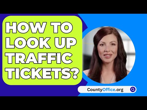 Ticket Lookup by License in the American Legal System