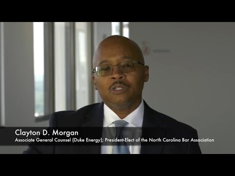 Pro Bono Debt Lawyers and the American Legal System