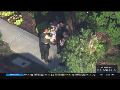 Lasd Warrant Search and Its Role in the American Legal System