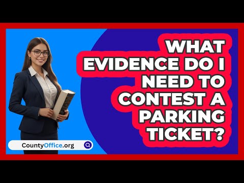 Navigating Parking Tickets within the American Legal System