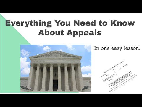 Navigating the Appeals Court Docket in U.S. Law