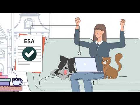 Esa Certification and Its Role in the American Legal System
