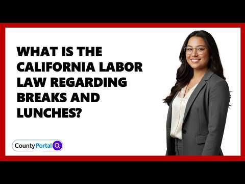 Lunch Breaks and Legal Rights in the U.S. Workplace