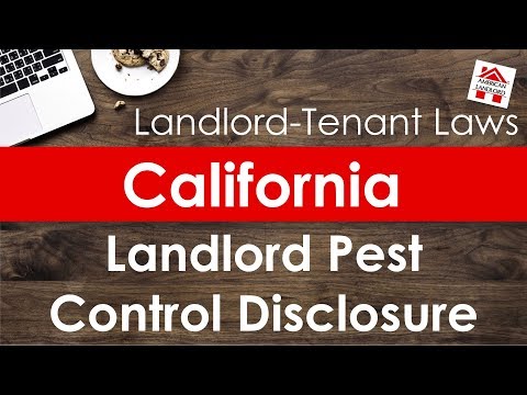 Suing Your Landlord for Pest Control in the American System