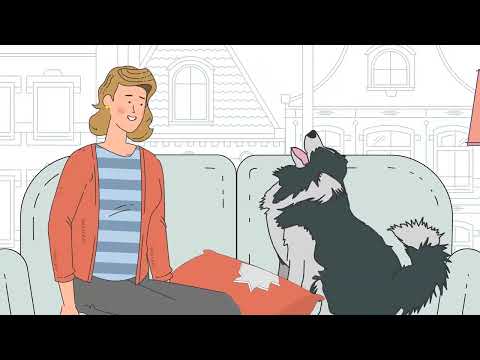 Pettable Emotional Support Animals and U.S. Legal Standards