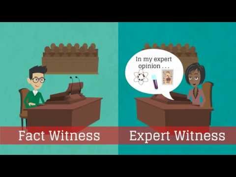Guidelines for Expert Witnesses in the American Legal System