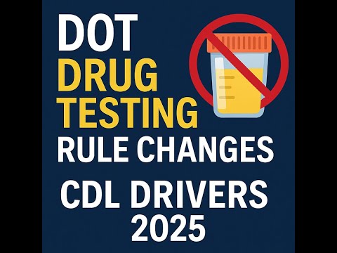 DOT Drug Test Regulations within the U.S. Legal Framework