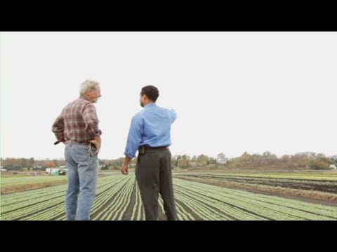 Farm Labor Contractors and Their Role in the U.S. Justice System