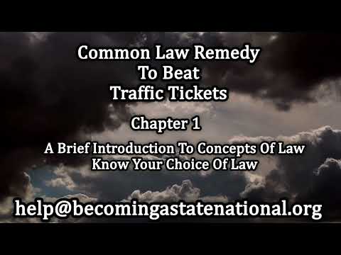 Defending Traffic Tickets Within the American Legal System
